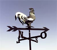 galo dos ventos